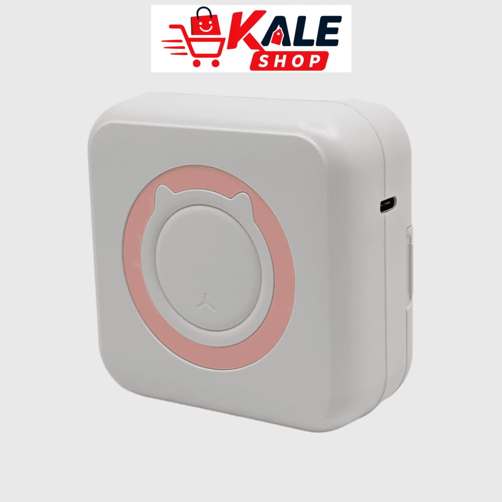 Mini Printer
