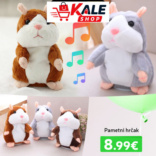 Pametni Hrak Igrake